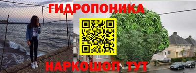 стафф Нальчик