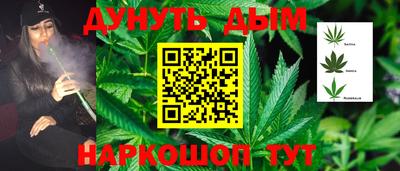стафф Нальчик