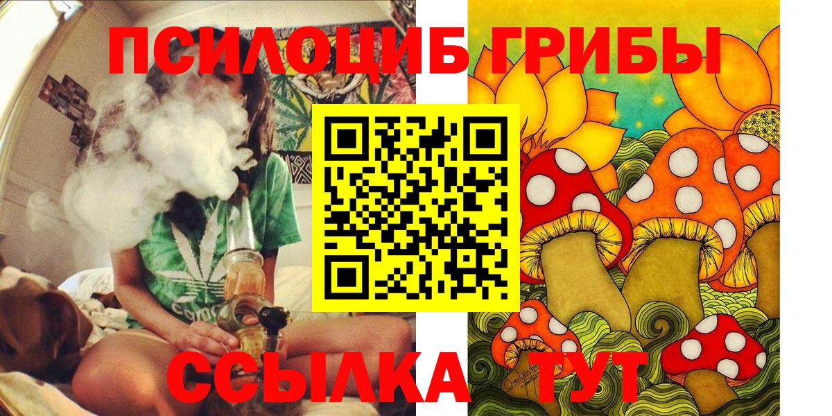 Галлюциногенные грибы Magic Shrooms  Черногорск 