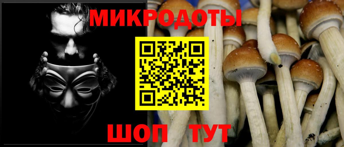 Галлюциногенные грибы GOLDEN TEACHER Черногорск