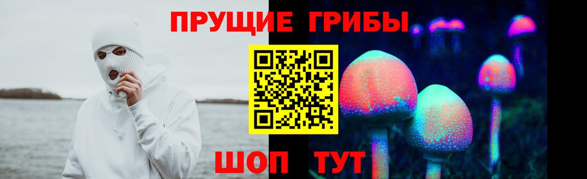 Галлюциногенные грибы Psilocybine cubensis  Псилоцибиновые грибы Magic Shrooms  Вход с VPN  Черногорск 