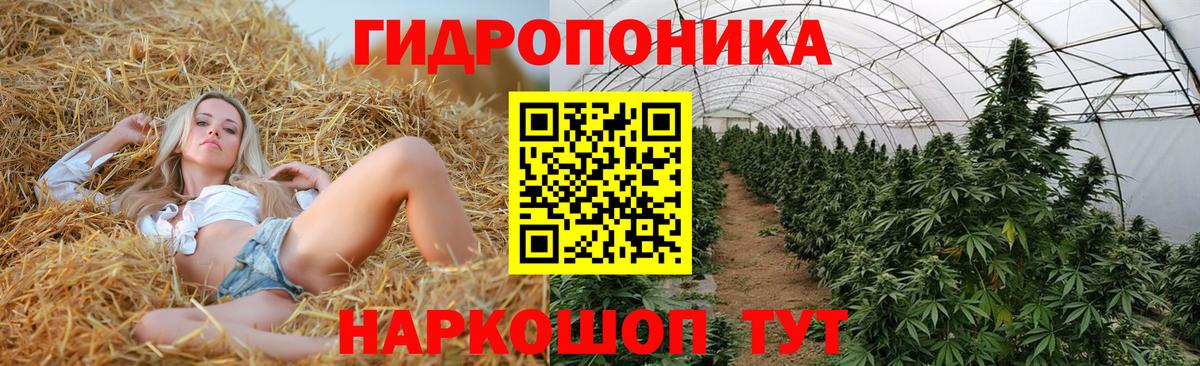 МАРИХУАНА семена  Марихуана марихуана  Черногорск  Бошки марихуана White Widow  Вход с VPN 